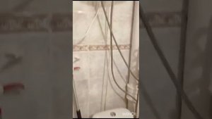 2ка, улица Тараса Шевченко. Комнаты раздельные. Можно с детьми и небольшим животным. +79787003279