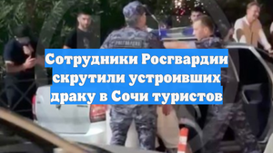 Сотрудники Росгвардии скрутили устроивших драку в Сочи туристов