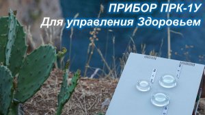 ТЕСТ ПРК-1У 04.11.2023 - 11.00 мск. Управление Здоровьем.