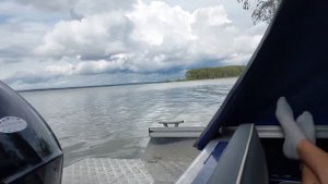 Рыбалка и грибы , Яузское водохранилище,  июль 2023 .