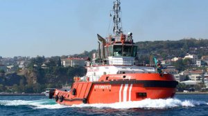 Лодка столкнулась с патрульным судном в Эгейском море, пятеро мигрантов погибли