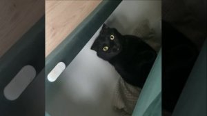 Вы тут отдыхаете?