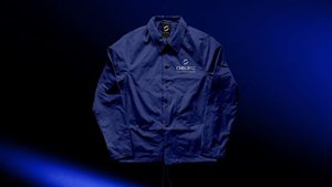 AVA Digital. Кейс СИБЭКС