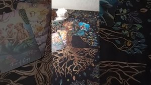 🌀Неделя с 8 по 14 сентября. #Таро