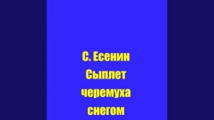 С. Есенин Сыплет черёмуха снегом