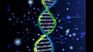 Включите её на 15 минут в день