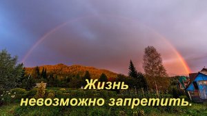 Жизнь невозможно запретить.