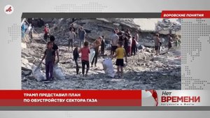 Стратегические запасы равиоли. Германия готовится к «войне с Россией»