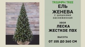 Triumph Tree - ОБЗОР искусственной ели Женева с шишками заснеженная