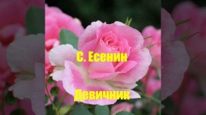 С. Есенин Девичник