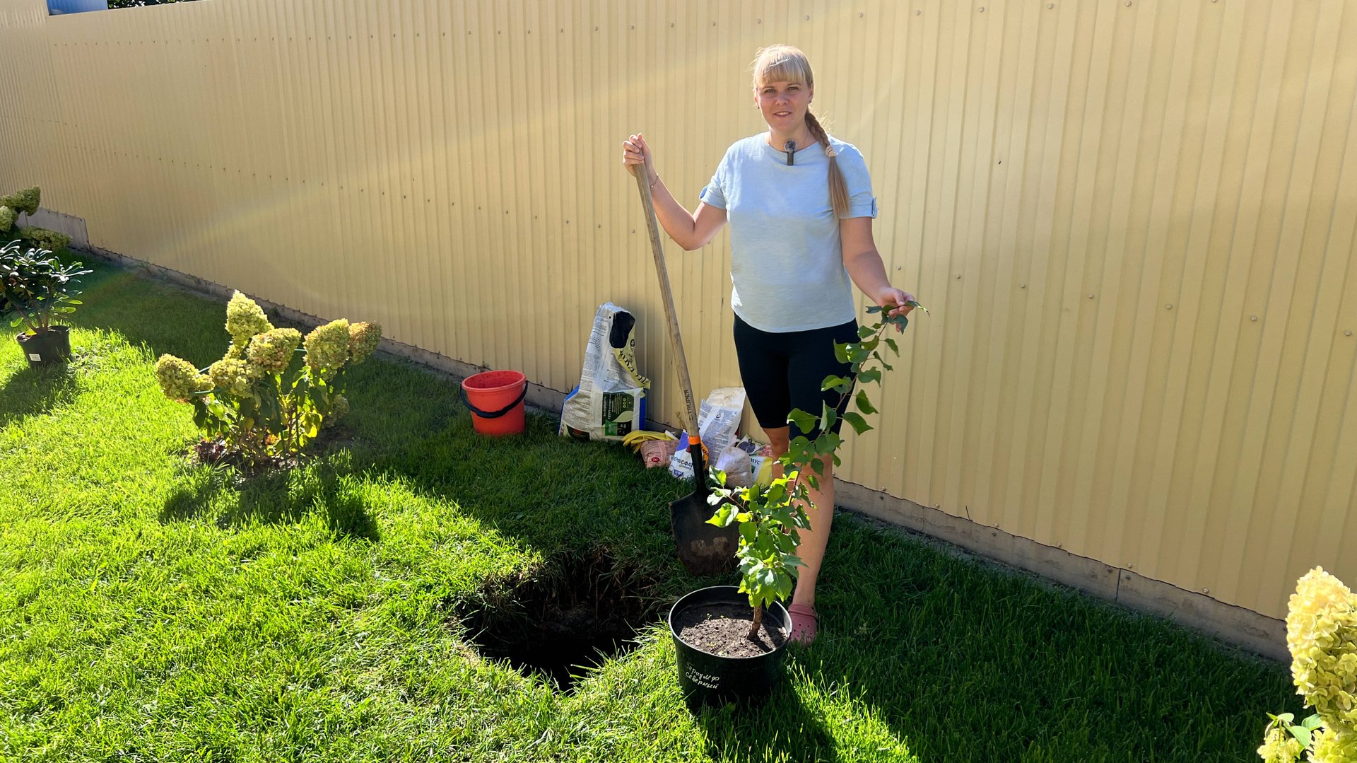 Абрикос - осенняя посадка. смотреть онлайн