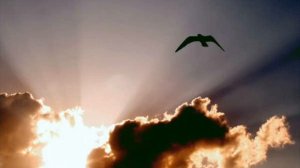 Дверь, за которой небо： Новый Иерусалим