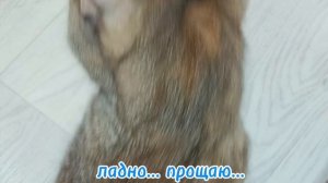 Сижу тут... голодная...