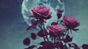 Mad JT - Сломанная луна