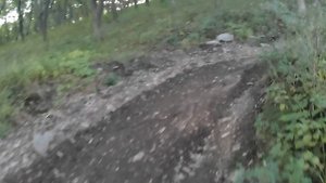 тропа осминога