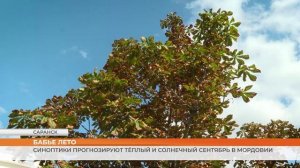 Синоптики прогнозируют тёплый и солнечный сентябрь в Мордовии