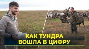 Олени с чипами: российская RFID-разработка. Как считают животных за секунды