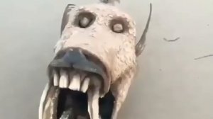 Видео от За Трофеем: Охота и Рыбалка