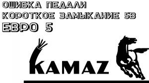 Короткое замыкание и ошибка педали ЕВРО 5 м240. Нестандартные случаи.