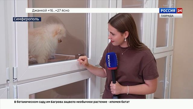 ВЕСТИ КРЫМ: выпуск 08.09.2025 17:30