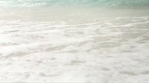 ADDC 1 День. Ожидание "малыша".