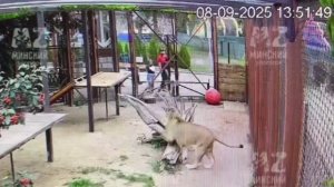 Шархан Понедельник Поигрун Футболист 08.09.2025