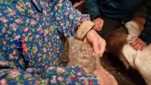 Чукотский Плащ из моржовых кишок