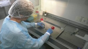 Количество воронежцев, укушенных клещами, уже превысило уровень всего прошлого года