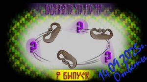 Подскажите, что это? Выпуск9