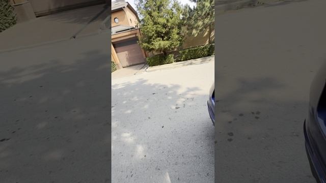 Skoda Rapid 2021 год смотреть онлайн