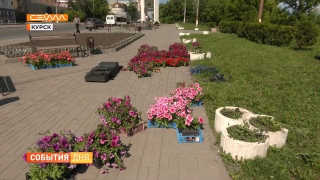 В Курске в общественных пространствах высаживают амп? смотреть онлайн