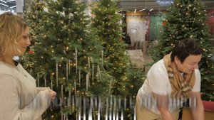 Тренды 2025. Как украсить квартиру, дом и сад к Новому го?