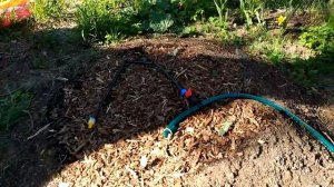 Контроль и управление поливом на базе GSM розетки и нас?