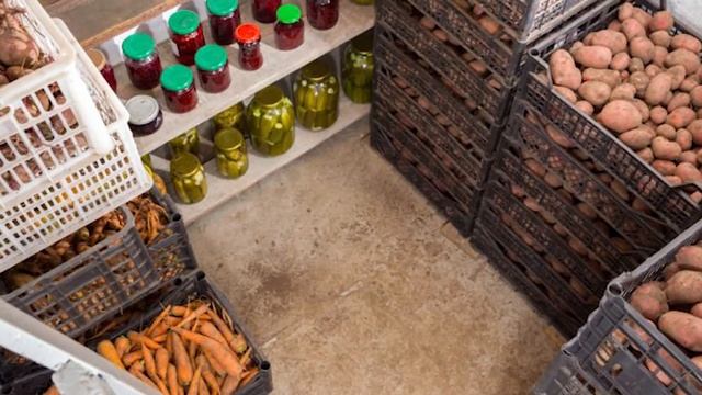 Как дачнику Сохранить свой Урожай зимой смотреть онлайн