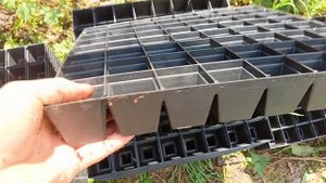 Как сделать кассетную рассаду клубники. Наш метод выр?