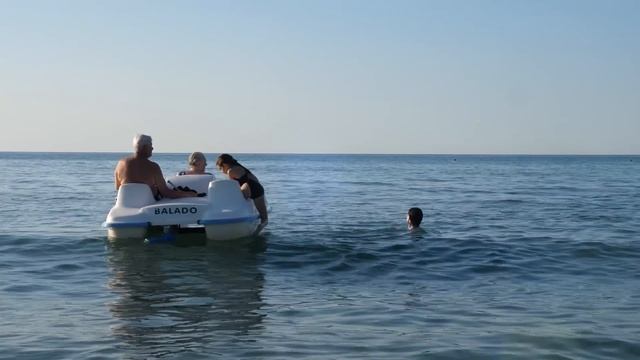 VLOG Алиска подарила мне ядовитые цветочки смотреть онлайн