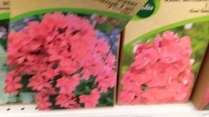 Новые поступления в ЛЕМАНА ПРО (Леруа Мерлен). Февраль