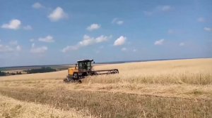 Уборка озимой ржи в ОАО Агрохим Прибой