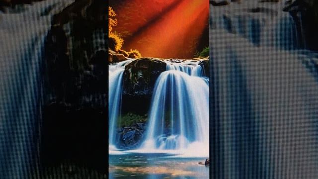 Марина Пиза. Послала зрителей ! Роза из колбасы от Мало смотреть онлайн