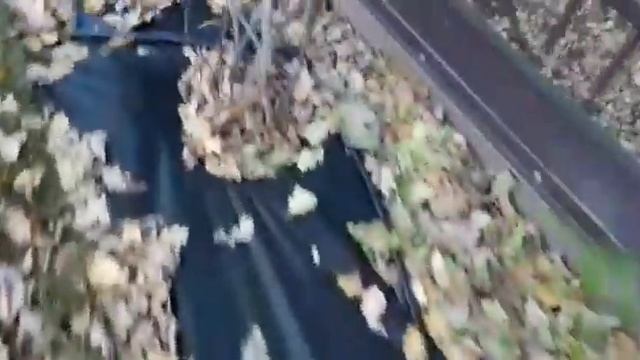 Капельные кольца под кусты и капельный шланг под вино? смотреть онлайн