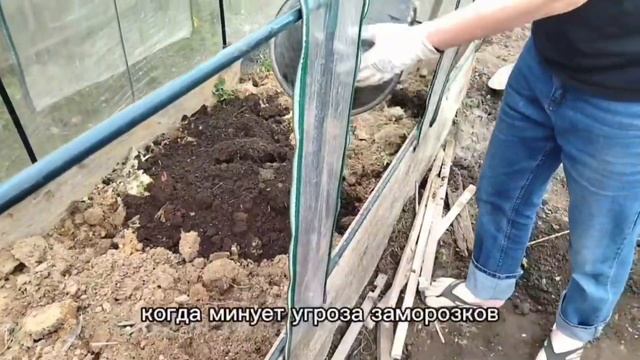 Подготовка теплицы к принятию рассады! Закон о запрет? смотреть онлайн