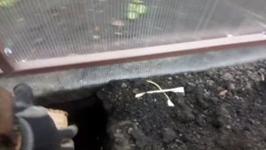 ТЕПЛИЦА. Укрепление ее основания.🔨