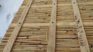 Beekeeping. Итальянка от Асиоли, чистопородная. Состояние н