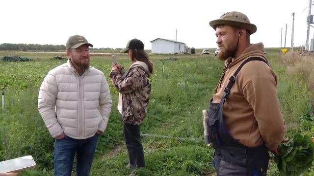 Клубника, малина, жимолость, салат разных сортов и ябл?