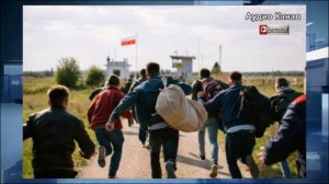 «Бегите, ребята!»: на Украине молодые парни массово увольняются, чтобы уехать за границу