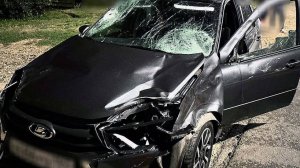 Водитель насмерть сбил двух подростков на пешеходном переходе на Кубани