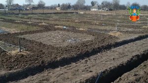 Система капельного полива часть 2 / Фундуковый  сад как