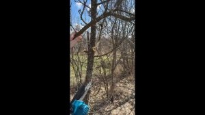 Бюджетная аккумуляторная цепная мини пила с ОЗОНА.