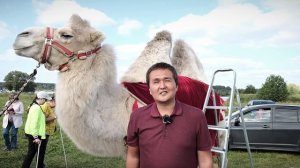 В Твери состоялся ежегодный инклюзивный фестиваль -Небо для всех-