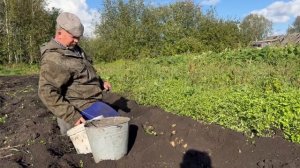 КОПАЕМ КАРТОФЕЛЬ В ДЕРЕВНЕ. ПЕРЕДЕЛАЛИ ОКУЧНИК В КОПА?